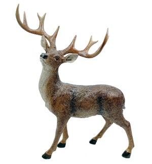 Natural Standing Deer