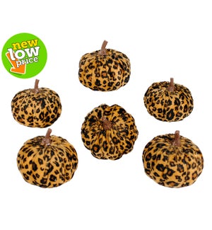 Cheetah Pumpkins - 6/Bag
