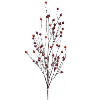 Chestnut Berry Branch