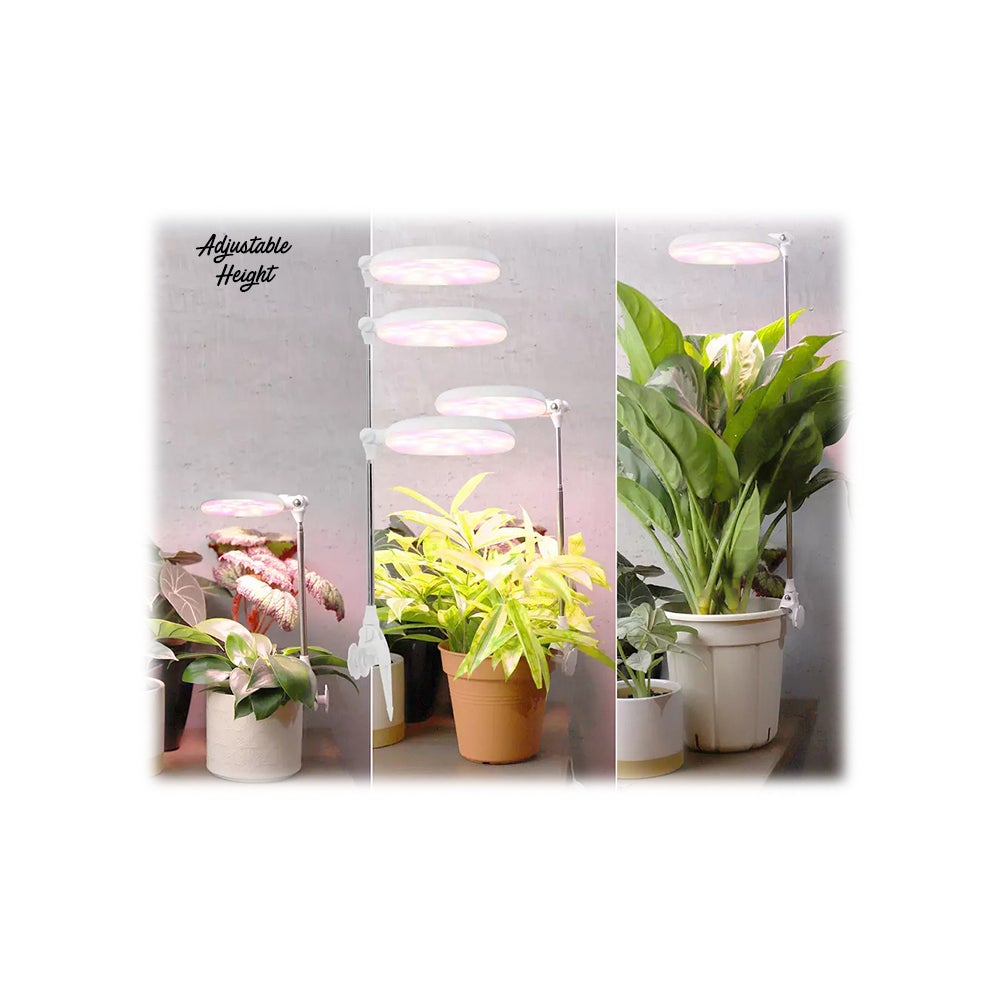 LED Grow Light w/Timer