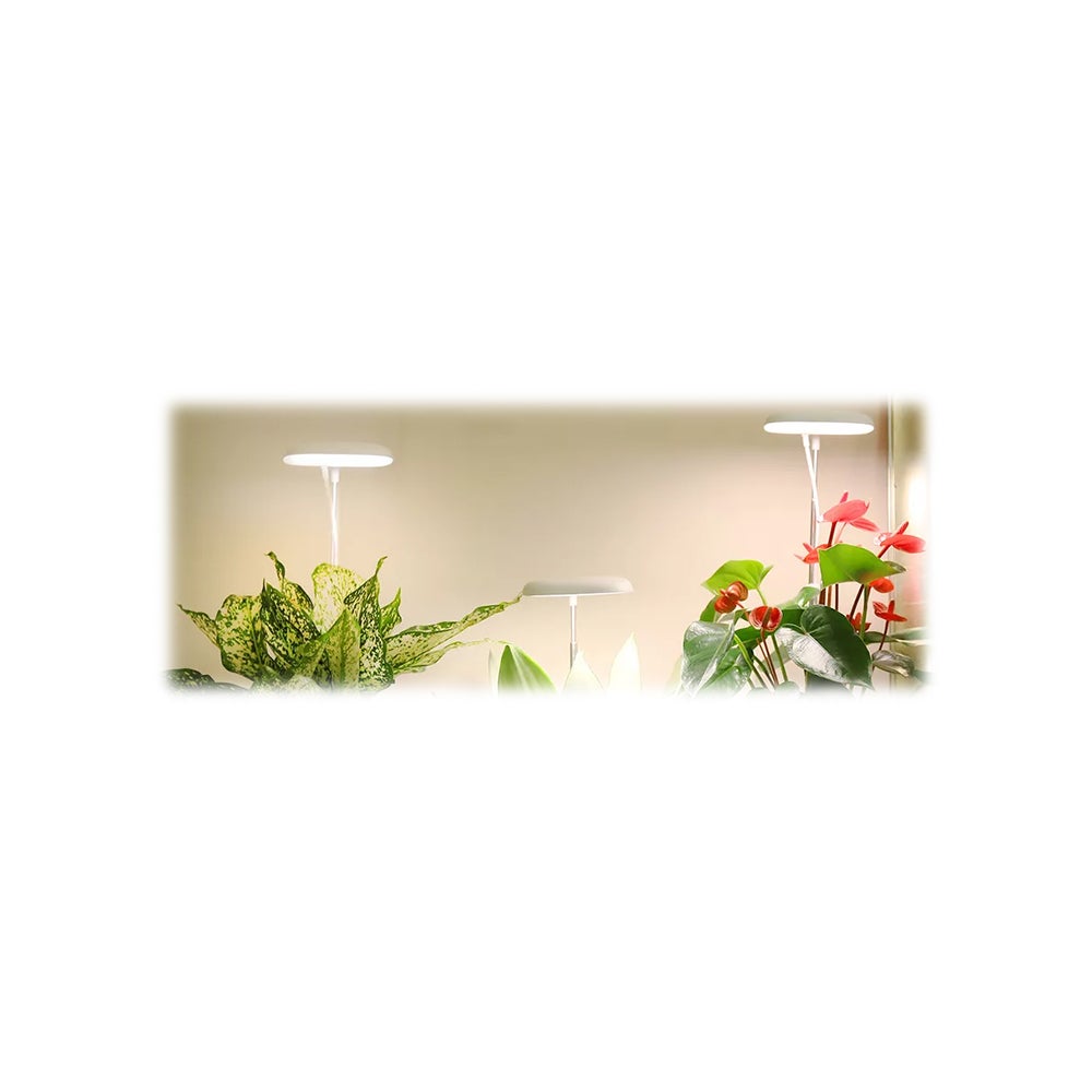 LED Grow Light w/Timer