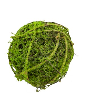 Small Moss Orb Ball