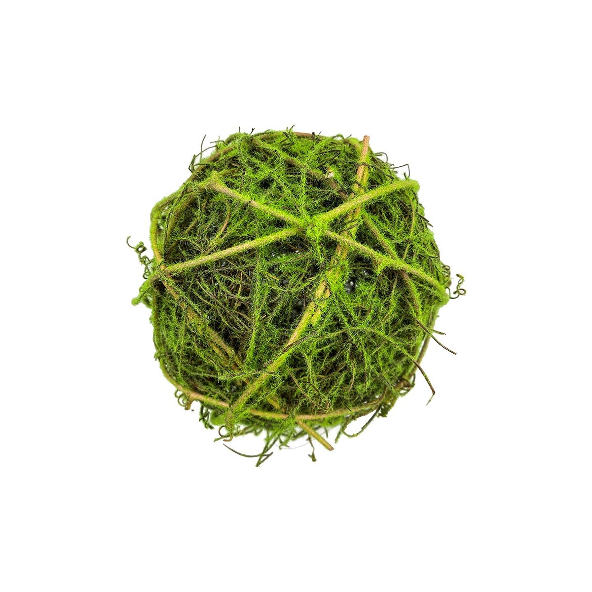 Medium Moss Orb Ball