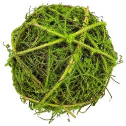 Medium Moss Orb Ball