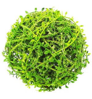 Large Moss Orb Ball