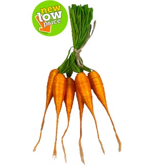 Carrots - 6pc/Bundle