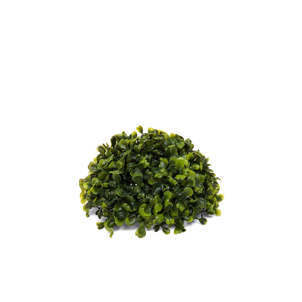Boxwood Orb Half Ball Dome - Dark Green - Set/2