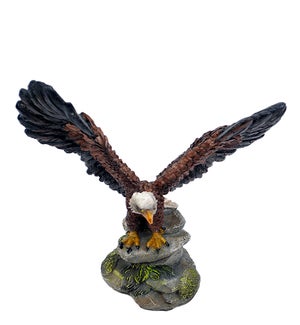 Eagle on Rocks