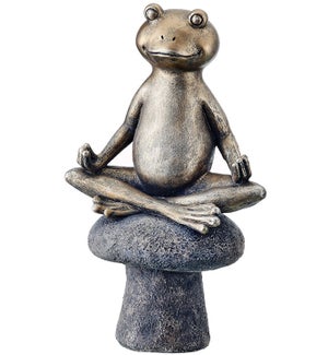 Yoga Frog on Mushroom