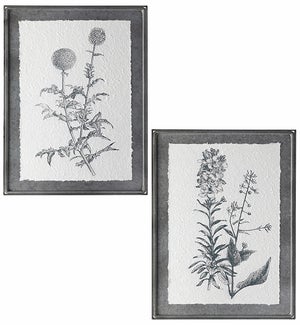 Wild Flower Framed Wall Art