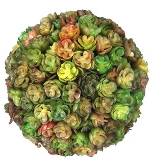 Green Brown Chick Succulent Orb Ball