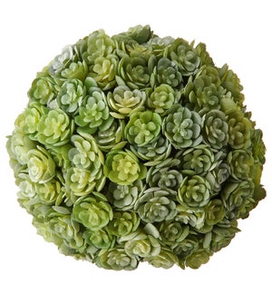 'Chick' Succulent Orb/Ball