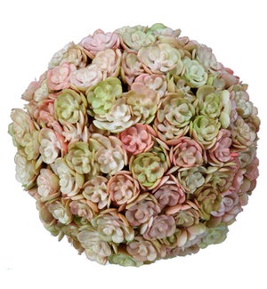 Pink Chick Succulent Orb Ball
