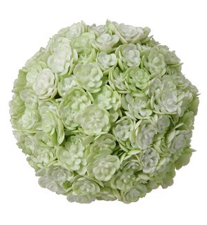 White Green Chick Succulent Orb Ball