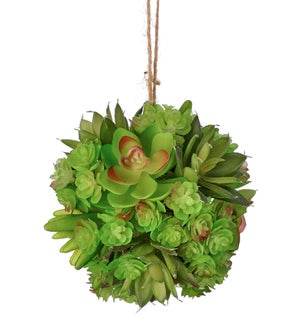 Hanging Succulent Orb Ball