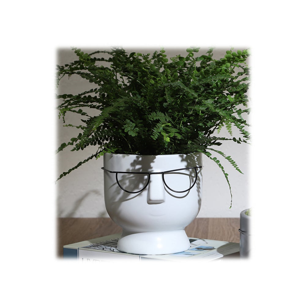 Face w/Glasses Vase Planter