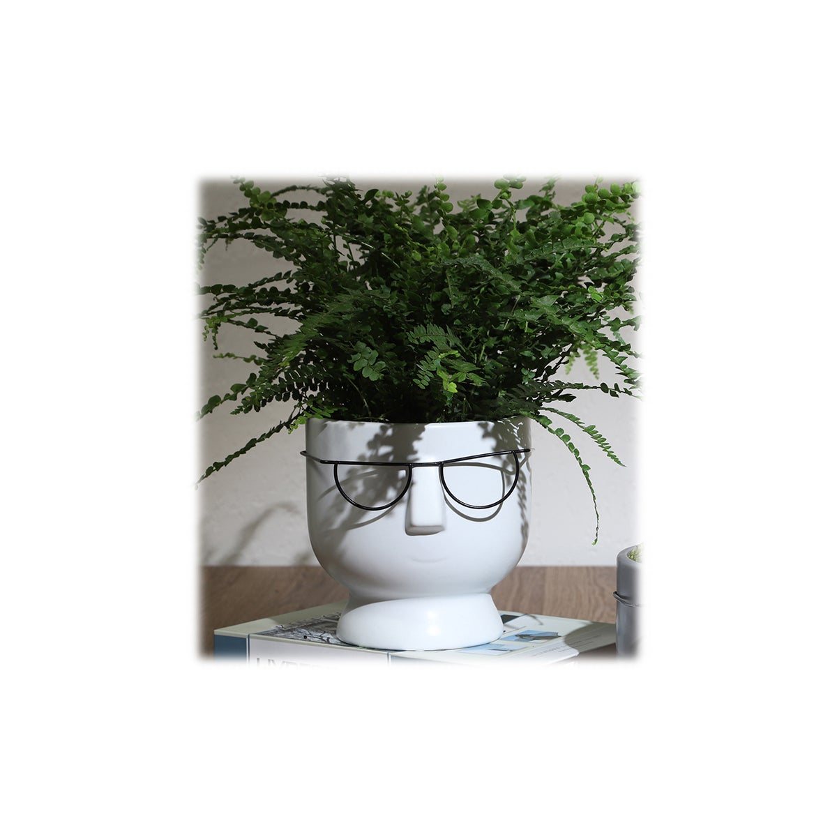 Face w/Glasses Vase Planter