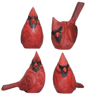 Cardinal Bird
