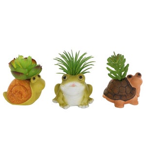Snail/Frog/Turtle with a Succulent