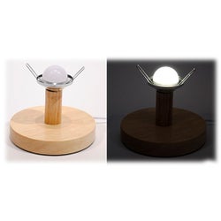 'Flower' Table Lamp USB/Electric