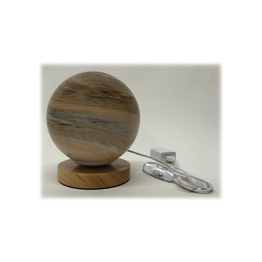 LED Dimmable Globe Lamp
