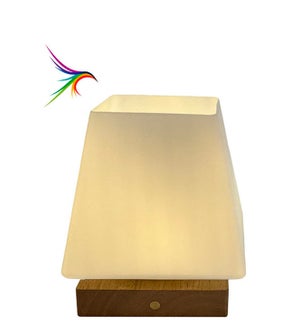 LED Modern Translucent Lamp