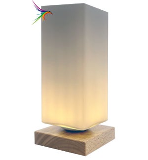 LED Modern Translucent Lamp
