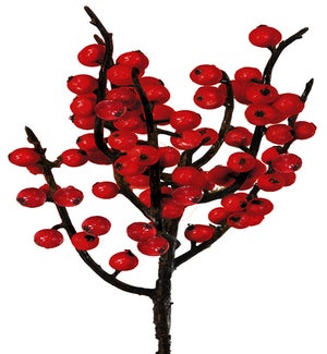 Red Winterberry Pick