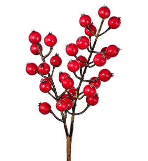 Red Winter Berry Pick