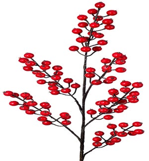 Red Winter Berry Spray
