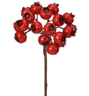 Country Red Berry Pick