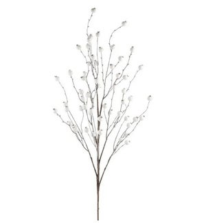 White Berry Branch
