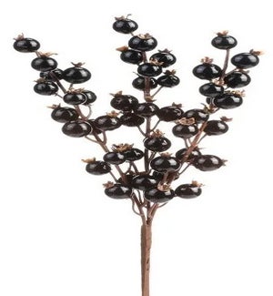 Black Glossy Berry Pick