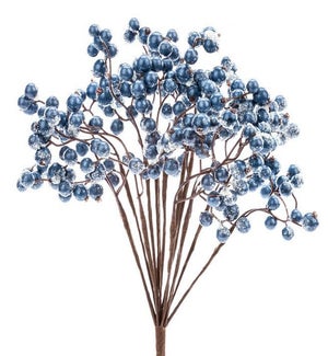 Blue Snow Berry Bush