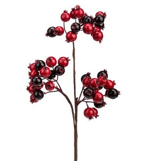 Red/Burgundy Berry Cluster