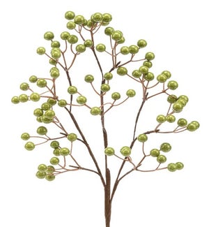 Green Berry Pick