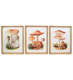 Framed Mushroom Wall Art