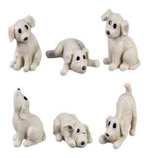 Playful Dogs