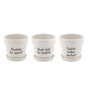 Witty Planter w/Saucer - 3 Assorted Designs