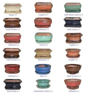 Professional Bonsai Pot with Saucer "Not Attached" Assorted Colors and Designs - 6 1/4" L