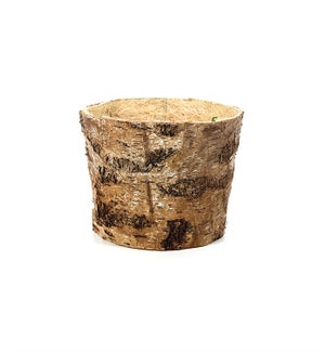 Lg Birch Planter - Wood - 8 1/4" W