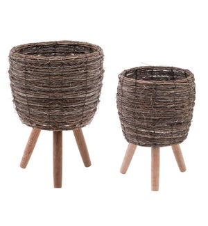 Woven Elm Plant Stand, Set of 2