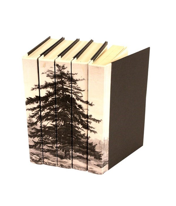 Image Collection, Spruce Tree, Set of 5