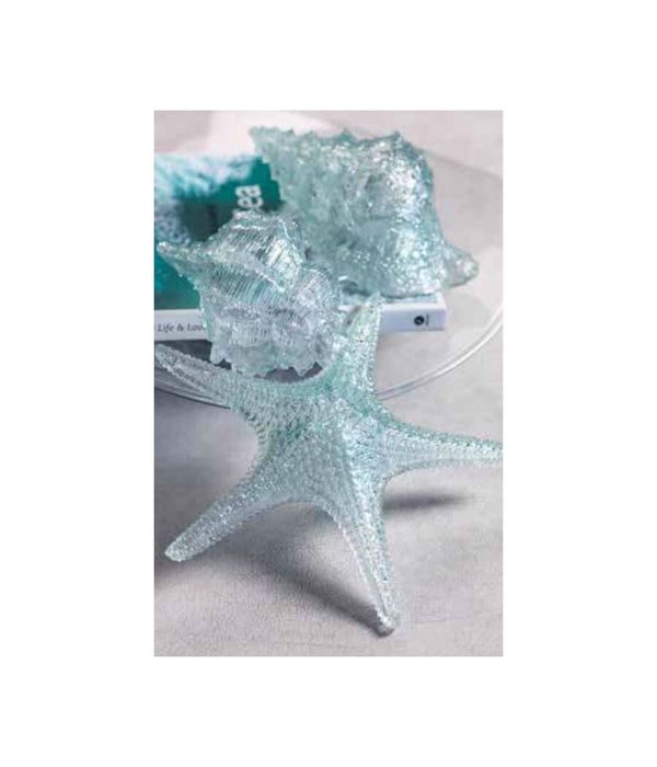 Cayo Decorative Starfish