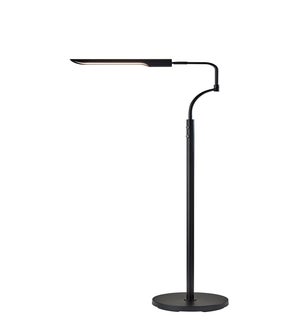 Zane LED Flr Lamp w/SS- Black