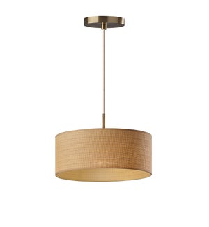 Harvest Drum Pendant-Antq Brss