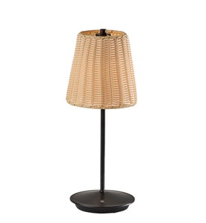 Andy LED Cordles Table Lamp