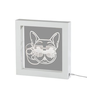 Cool Dog Video Light Box