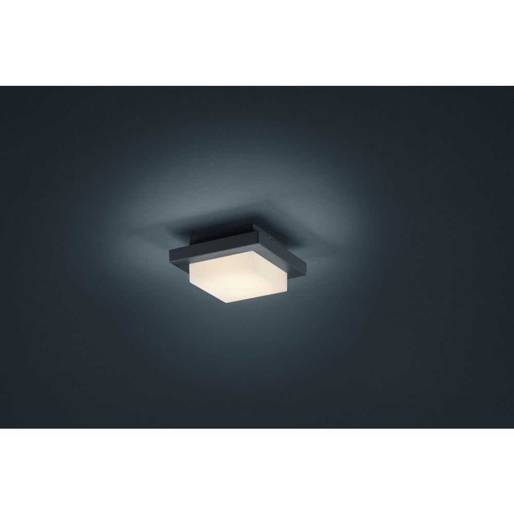 Hondo Wall/Ceiling Mount in Charcoal
