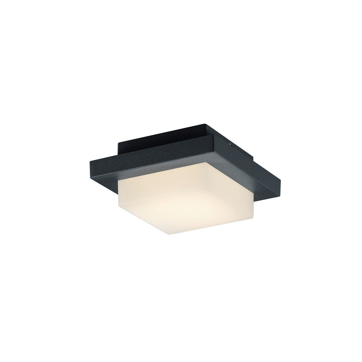 Hondo Wall/Ceiling Mount in Charcoal